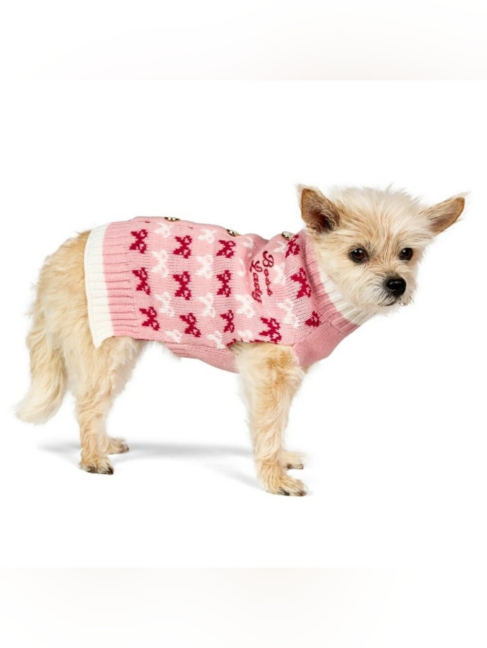 Vibrant Life NWT Pink "Boss Lady" Holiday Pet Sweater For Cats & Dogs - Picture 8 of 9